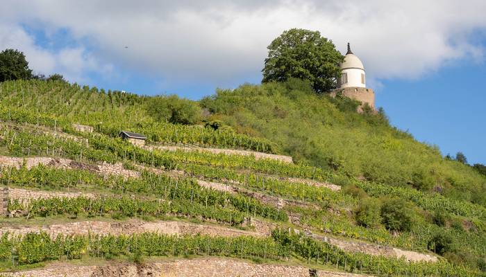 Landeskulturreise Dresden
