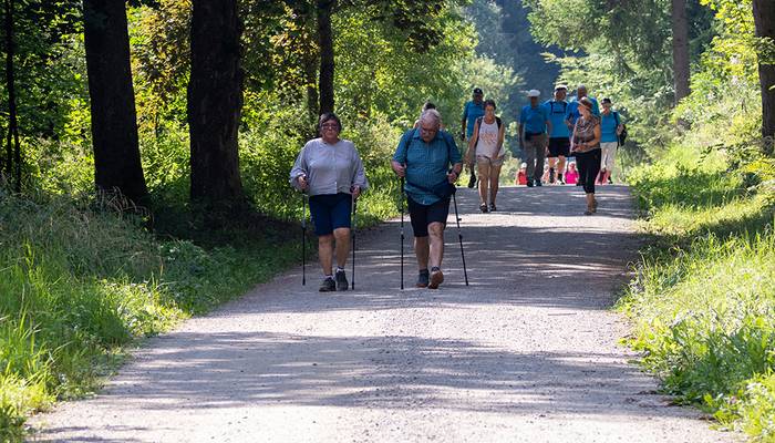 Landeswandertag Freistadt