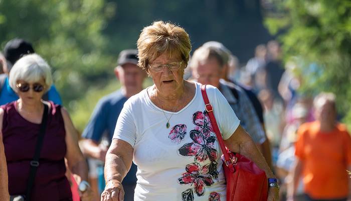 Landeswandertag Freistadt