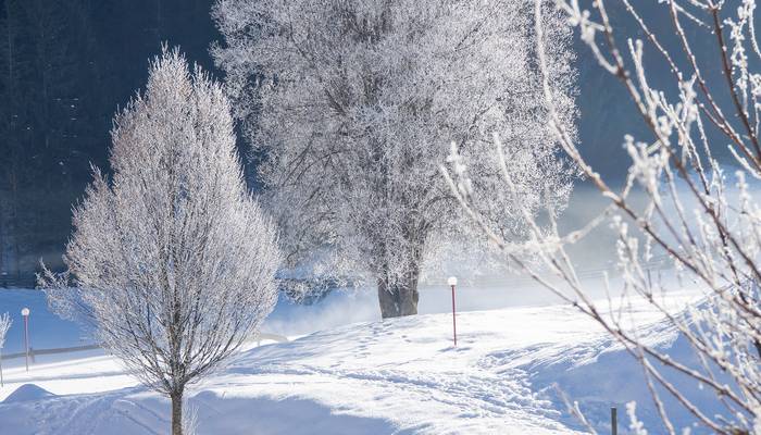 Wintersporttag – Gosau